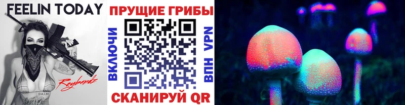 Галлюциногенные грибы Magic Shrooms  где продают   Кизел 