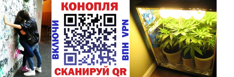 даркнет состав  Кизел  Бошки Шишки MAZAR 